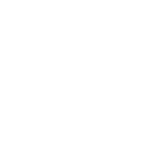 Forte-capacite-innovation-blanc